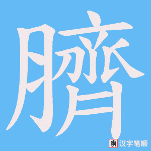臍字笔顺动画