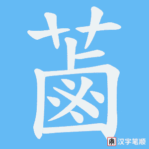蓾字笔顺动画