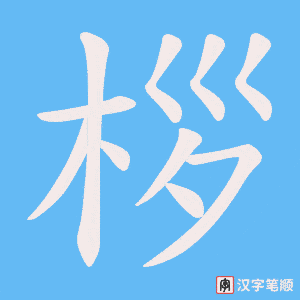 桚字笔顺动画