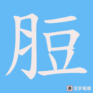 脰字笔顺动画