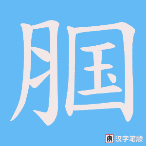 腘字笔顺动画