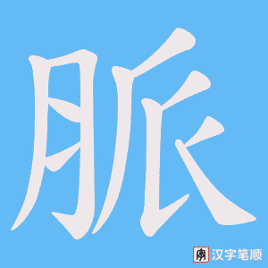 脈字笔顺动画