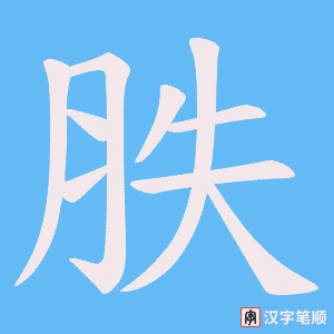 胅字笔顺动画