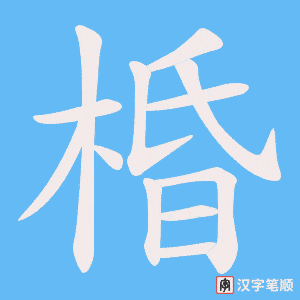 棔字笔顺动画