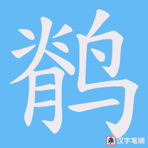 鹡字笔顺动画