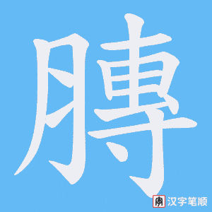 膞字笔顺动画