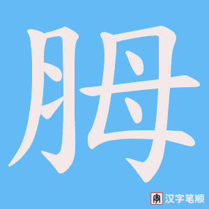胟字笔顺动画