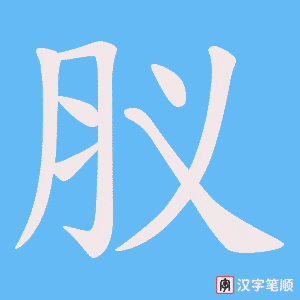 肞字笔顺动画