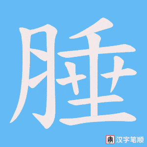 腄字笔顺动画