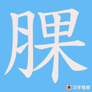 腂字笔顺动画