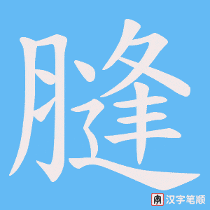 膖字笔顺动画