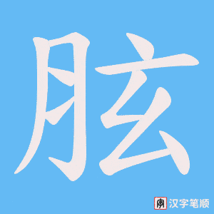 胘字笔顺动画