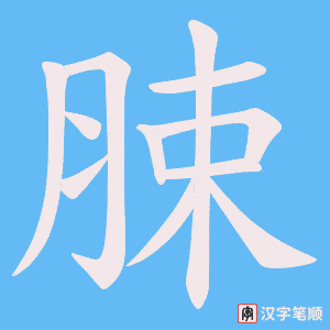 脨字笔顺动画