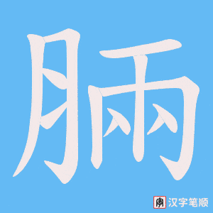 脼字笔顺动画