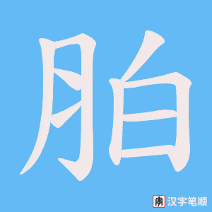 胉字笔顺动画