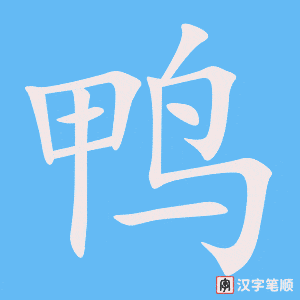 鸭字笔顺动画