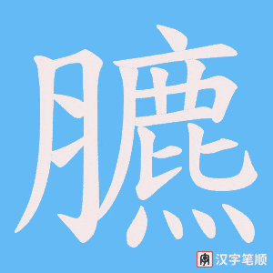 臕字笔顺动画