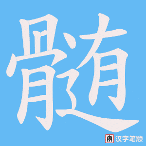 髄字笔顺动画