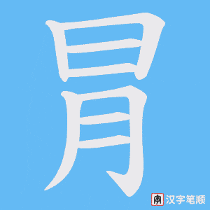 冐字笔顺动画