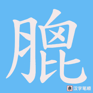 膍字笔顺动画