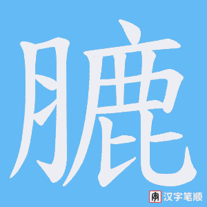 膔字笔顺动画