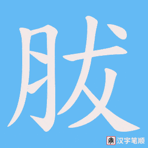 胈字笔顺动画