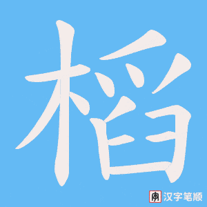 槄字笔顺动画