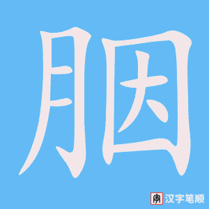 胭字笔顺动画