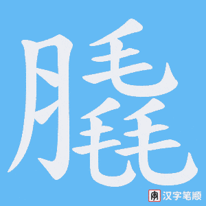 膬字笔顺动画