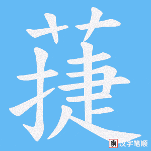 蓵字笔顺动画