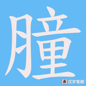 膧字笔顺动画