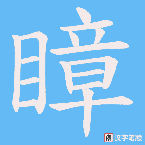 瞕字笔顺动画