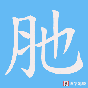 肔字笔顺动画