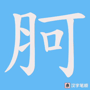 胢字笔顺动画