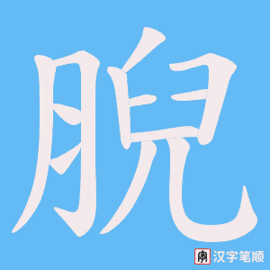腉字笔顺动画