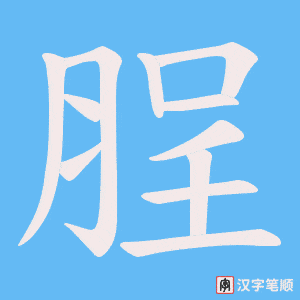 脭字笔顺动画
