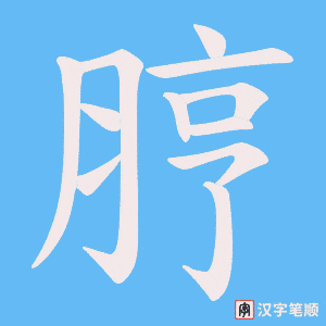 脝字笔顺动画