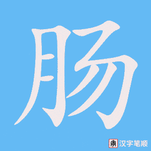 肠字笔顺动画
