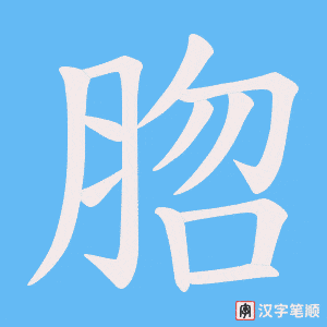 脗字笔顺动画