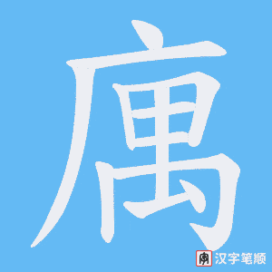 庽字笔顺动画