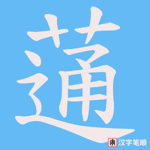 蓪字笔顺动画