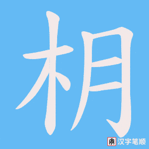 枂字笔顺动画