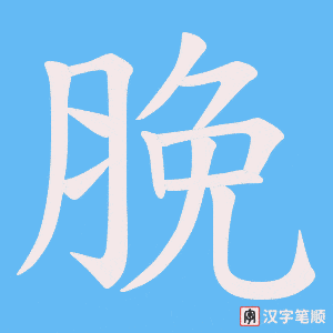 脕字笔顺动画