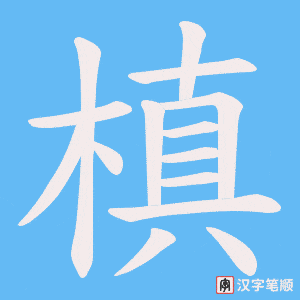 槙字笔顺动画