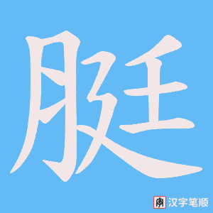 脡字笔顺动画