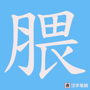 腲字笔顺动画