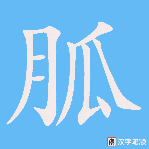 胍字笔顺动画