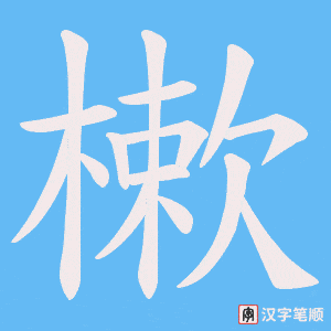 樕字笔顺动画