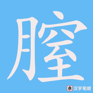 膣字笔顺动画