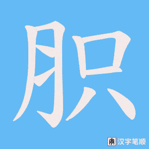 胑字笔顺动画